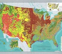 Image result for Map of Agricultural Land Use Us