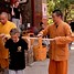 Image result for Different Kung Fu Styles