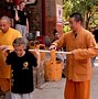 Image result for Shaolin Kung Fu Styles