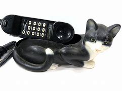 Image result for 1960s Wall Cat Phone