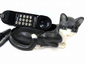 Image result for Black Cat Phone Pop Up