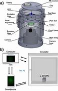 Image result for Large-Scale Cell Accessories. Display