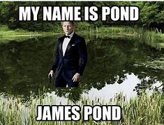 Image result for Dawg Pond Meme