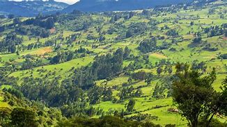 Image result for Cundinamarca Colombia