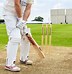 Image result for Cricket Stumps with Base Wooden