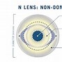 Image result for Best Contact Lenses for Astigmatism