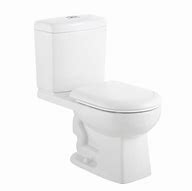 Image result for Glacier Bay Dual Flush Toilet