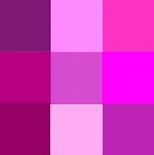 Image result for Hot Pink Magenta