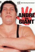 Image result for Razor Ramon vs Andre the Giant