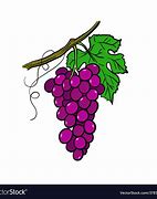 Image result for Grape Boycott Drawing