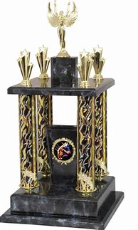 Image result for Perpetual Trophies