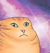 Image result for Kamui Cat Meme