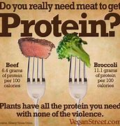 Image result for Why Eat Vegan