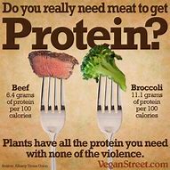Image result for Vegan vs Vegetarian