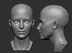 Image result for 3D Person Model All Views