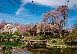 Image result for Cool Japan House Made Out of Cherry Blossom Wood