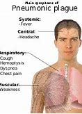 Image result for Symptoms for the Bubonic Plague