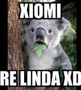 Image result for +Xiomi Memes