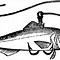 Image result for Cartoon Fish Hook