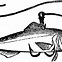 Image result for Fishing Hook Cartoon