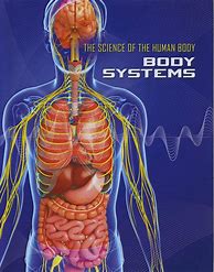 Image result for Science Human Body