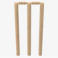 Image result for Cricket Wicket Keeping Pads