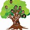 Image result for Family Tree HD Images 5 People