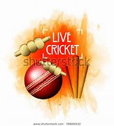 Image result for Cricket