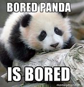 Image result for Bored Memes Funny