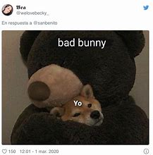 Image result for Bad Bunny Meme