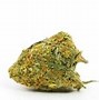 Image result for Alien Weed