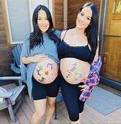 Image result for Bella Twins Pregnancy