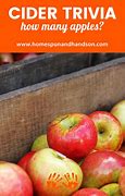 Image result for Apple-Picking Funny