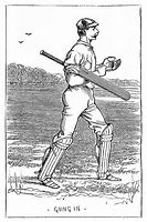 Image result for Old Cricket Bat Base