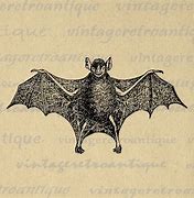 Image result for Vintage Bat Pic