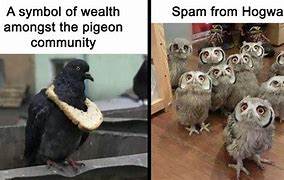 Image result for Icon Bird Meme