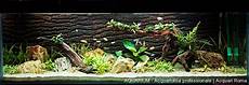 vasche aperte per acquari realizzazione di acquari su misura roma aquarium vasche aperte per acquari realizzazione di acquari su misura roma aquarium