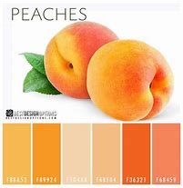 Image result for Peach vs Rose Gold