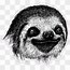 Image result for Sloth Pictures Cute Cartoon Face