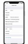 Image result for Cellular Data Network iPhone