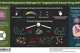 Image result for Anti Cancer Drugs