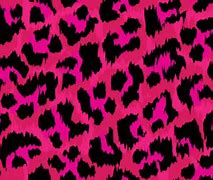 Image result for Pink Black Cheetah Print