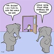 Image result for Elephant Joke Cartoons