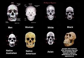 Image result for African Skull Meme