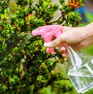 Image result for Plant Pesticides