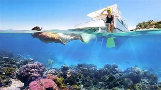 Image result for Snorkeling in Caribbean