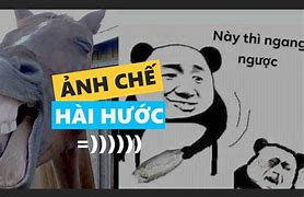 Image result for Ảnh Meme Nhót
