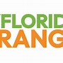 Image result for Florida Oranges