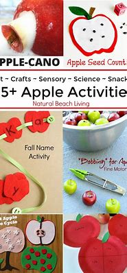 Image result for Apple Activity Kindergarten