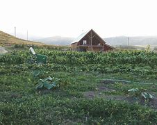 Image result for UK Farms Idea